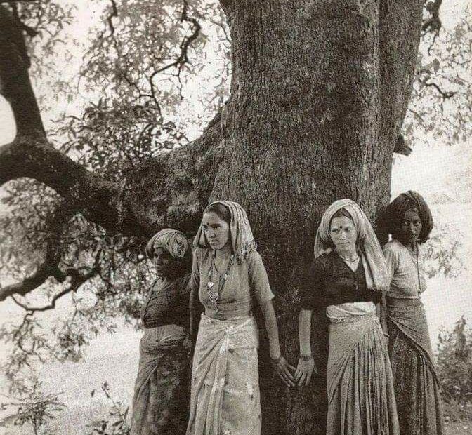 26 marzo 1973: India: nasce il Movimento Chipko per la salvaguardia e conservazione della foresta