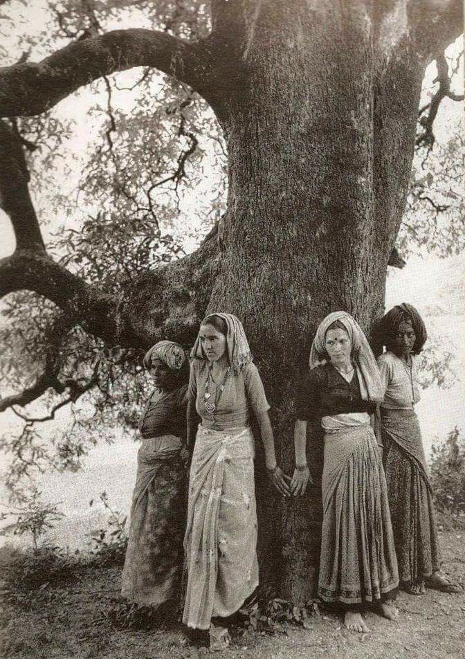26 marzo 1973: India: nasce il Movimento Chipko per la salvaguardia e conservazione della foresta